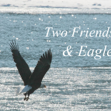 Two Friends & Eagle